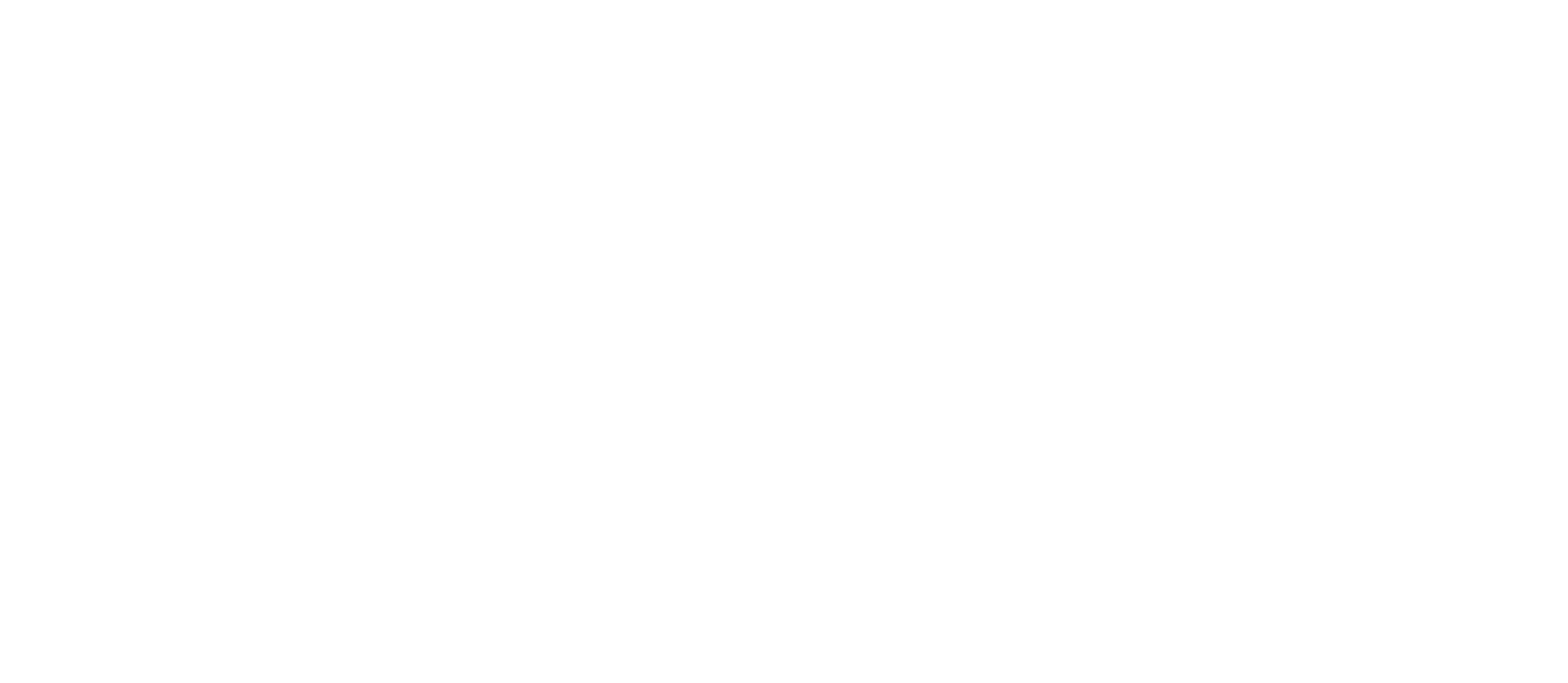 Rainesoft Solutions